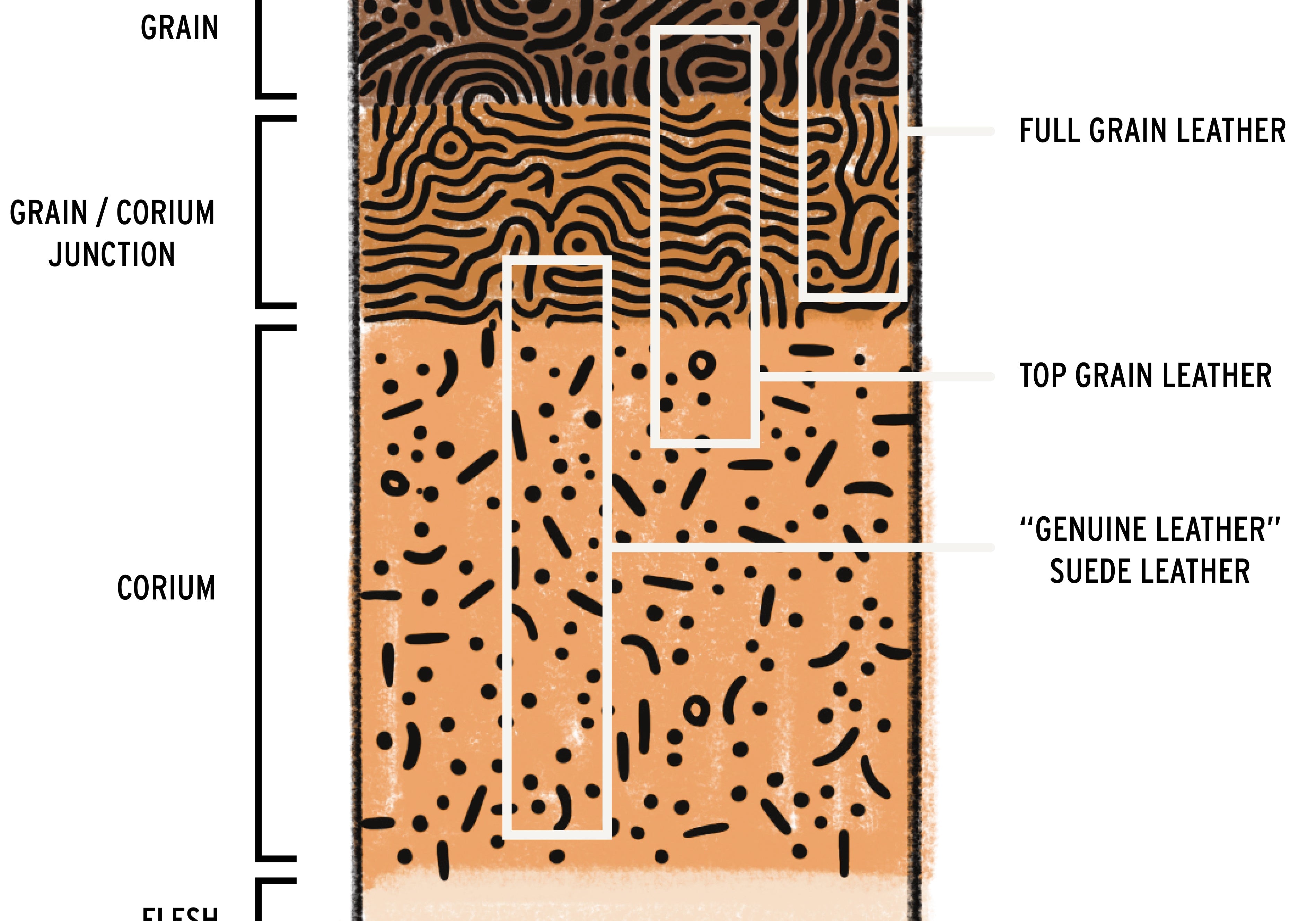 Colored graphic defining the layers of leather and the corresponding leather types.