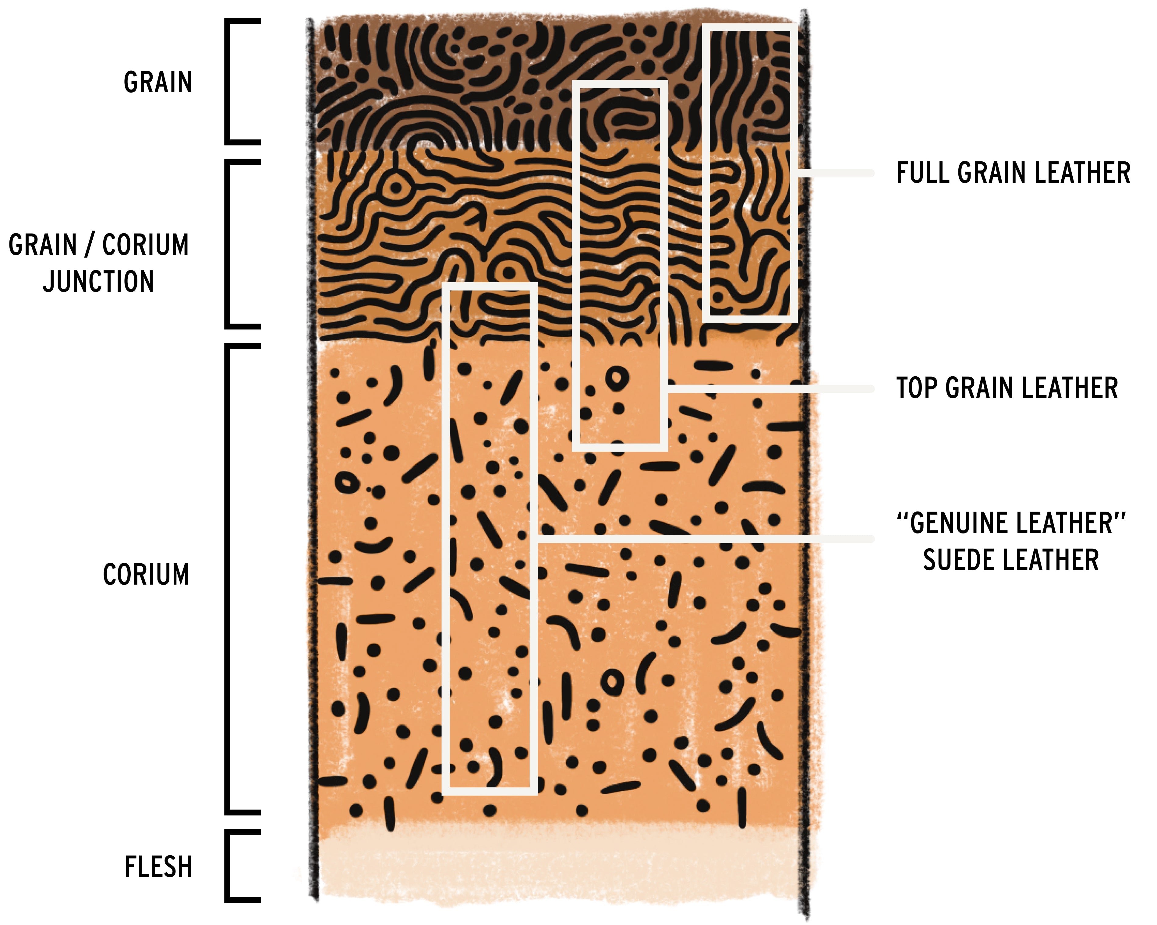 Colored graphic defining the layers of leather and the corresponding leather types.