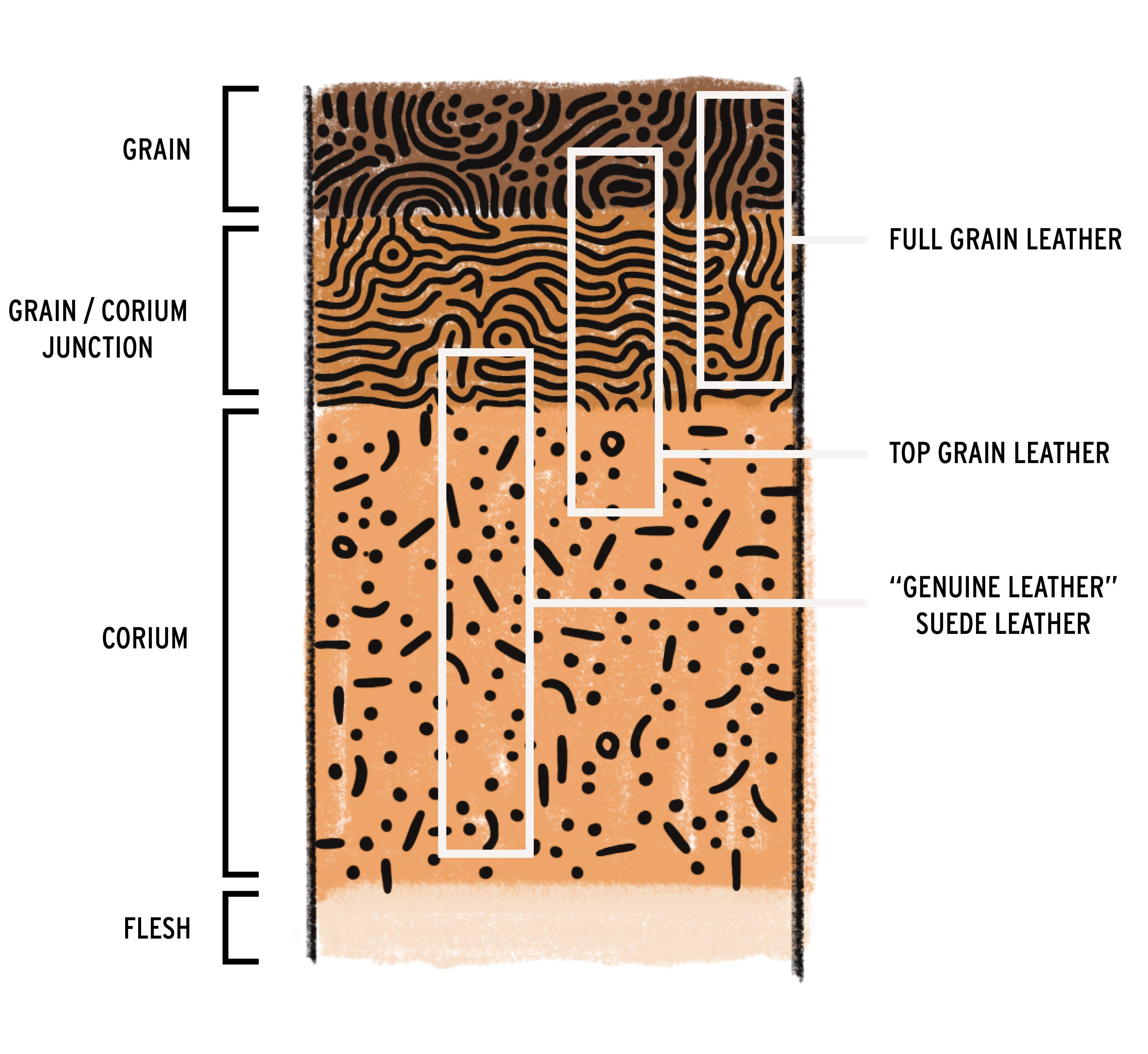 Colored graphic defining the layers of leather and the corresponding leather types.