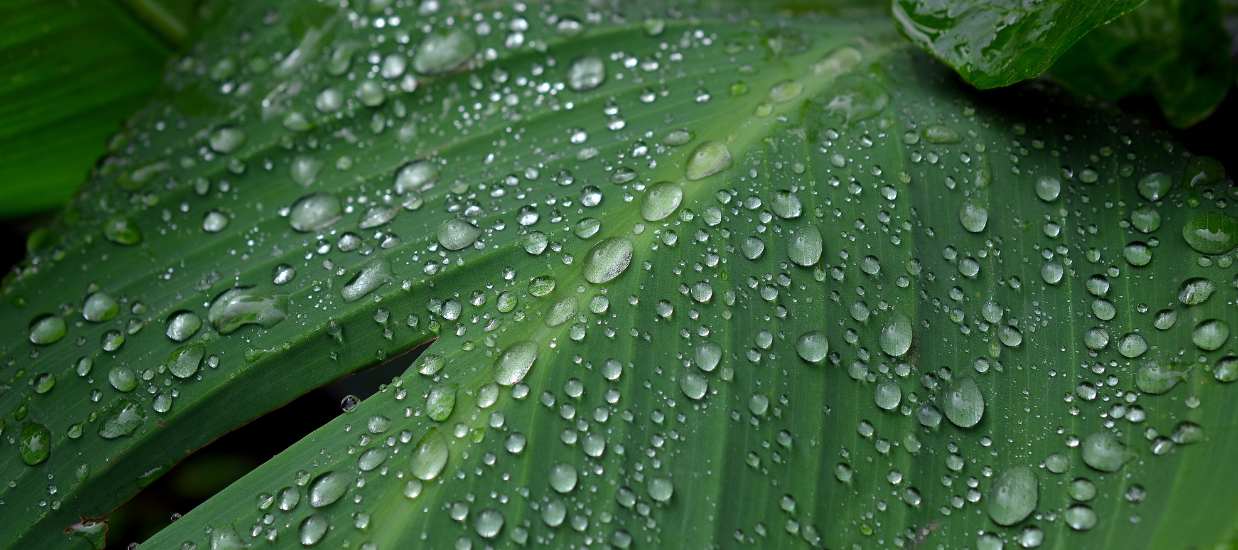 What Is Sustainability?