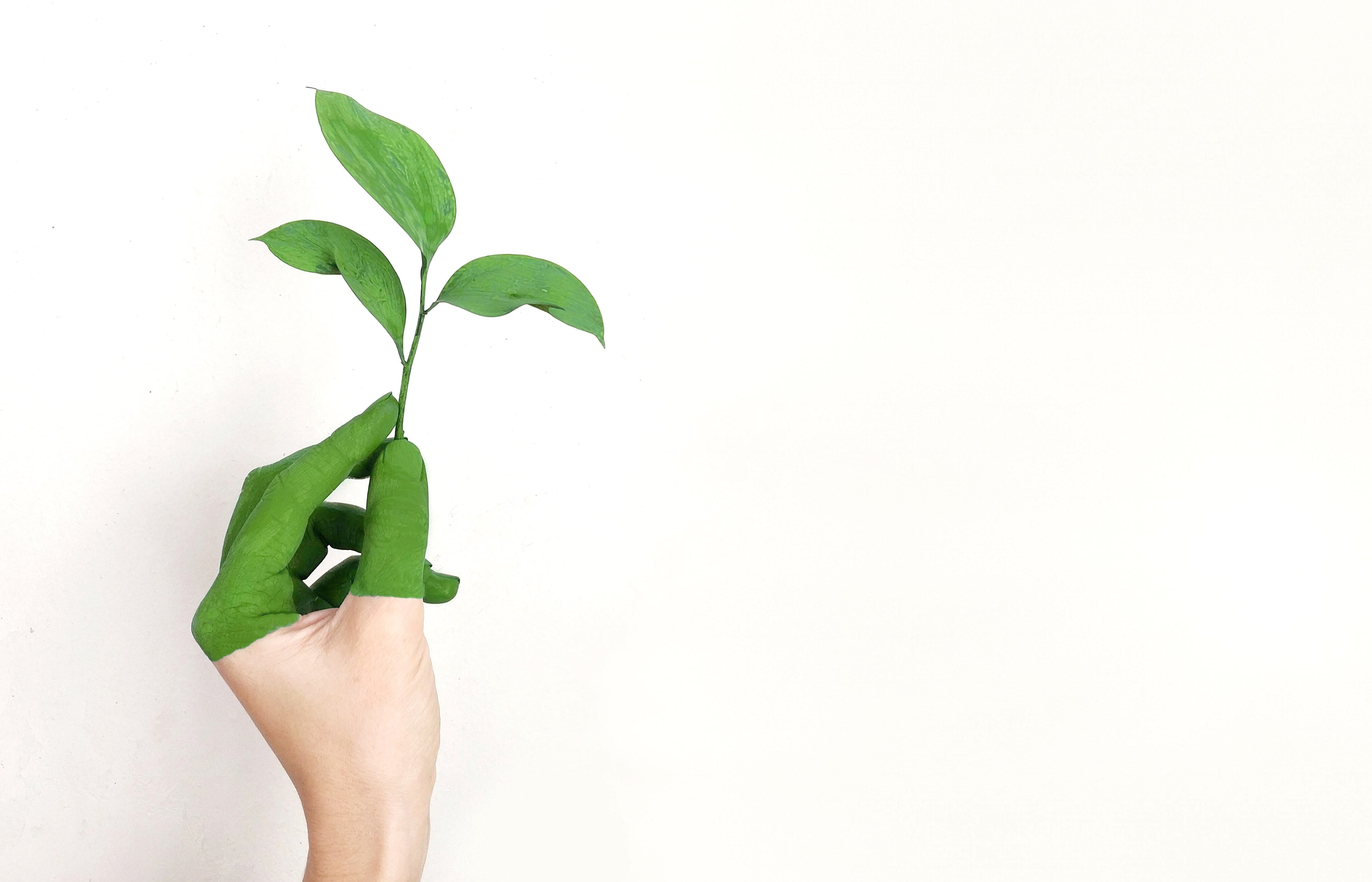 Hand painted green holding a small leafy plant against a white background.