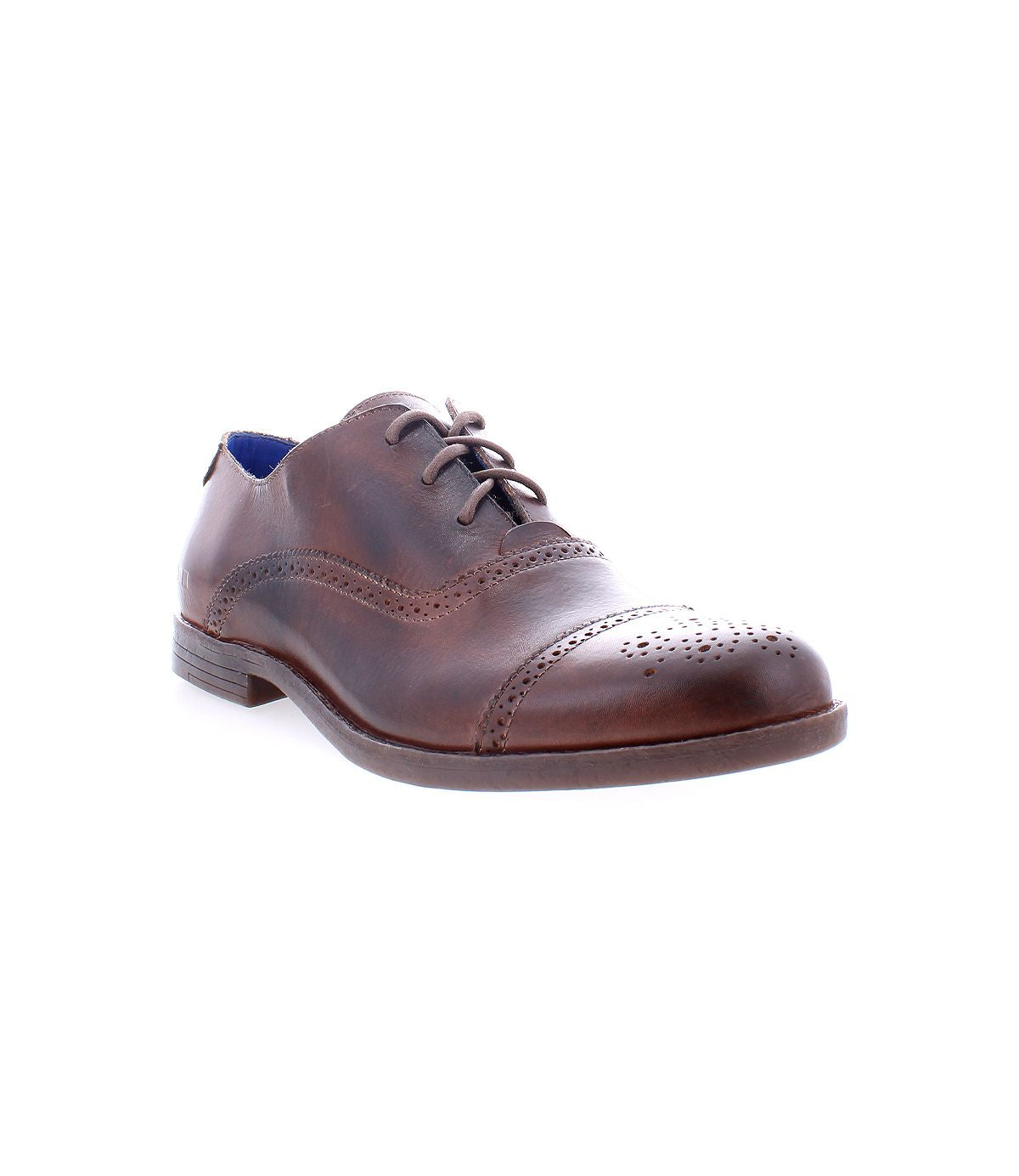 The Donatello II by Bed|Stü is a single brown leather oxford shoe, crafted from vegetable-tanned leather with laces, decorative perforations, and an elegant cap-toe design, shown against a white background.